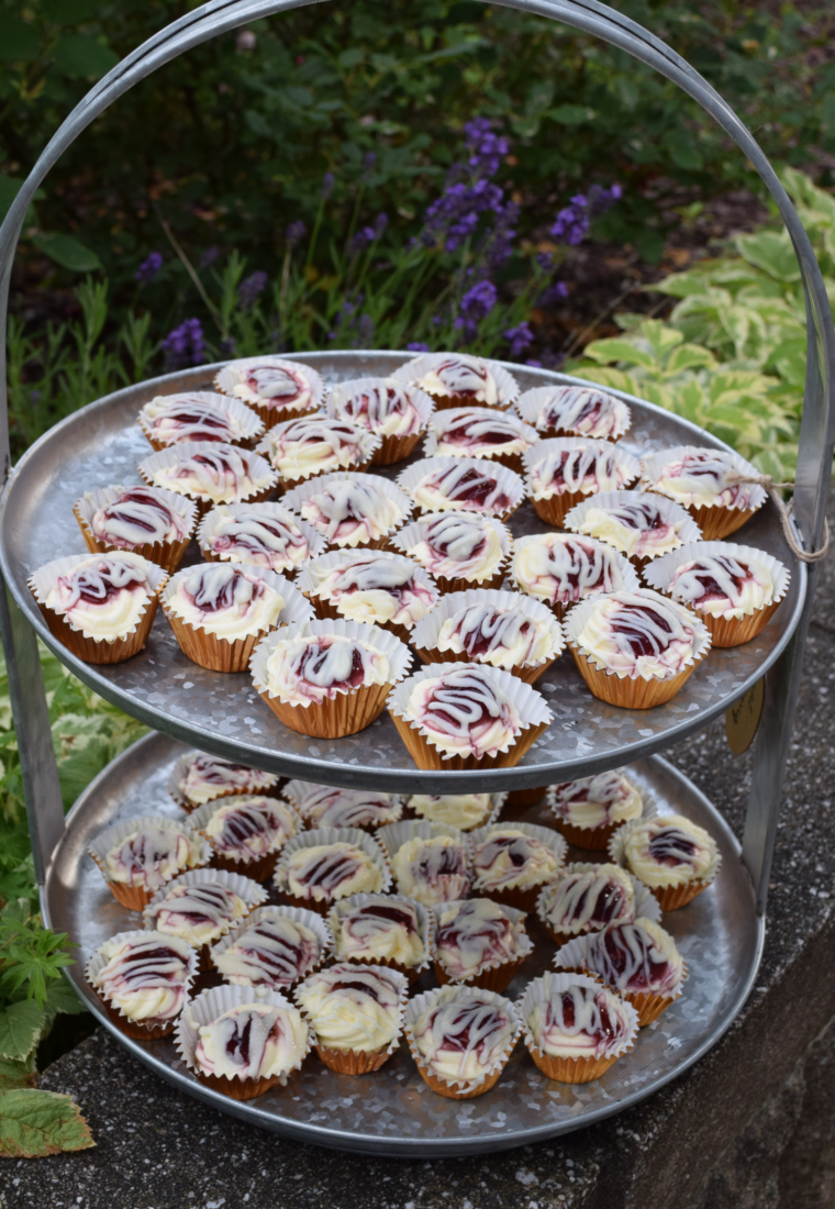 Mini Cheesecake Bites